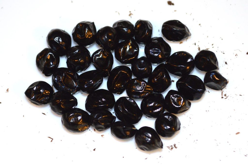 What starts out as a small group of shiny, black daylily seed can lead to amazing new blooms that no one has ever seen, in just a few short years. Not that you could every know just by looking, but these are the seeds of Rock Solid X All Things To All Men, a tetraploid hybrid.